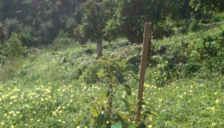 Foto 1 de Finca rústica en venda a C-20, 2c, Valtocado - La Alquería - La Atalaya, Mijas