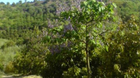 Foto 4 de Finca rústica en venda a C-20, 2c, Valtocado - La Alquería - La Atalaya, Mijas