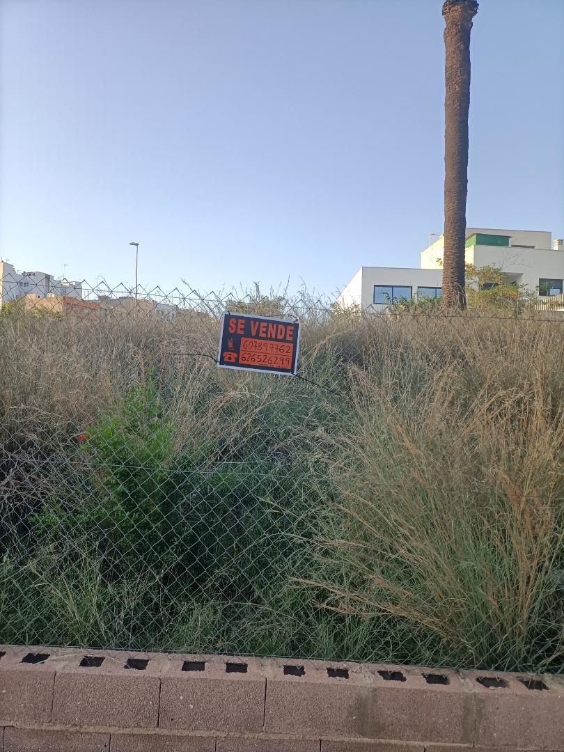 Constructible Land for sale in Onda