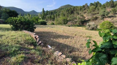 Photo 2 of Single-family semi-detached for sale in Calle Diseminados, 164, Riópar, Albacete