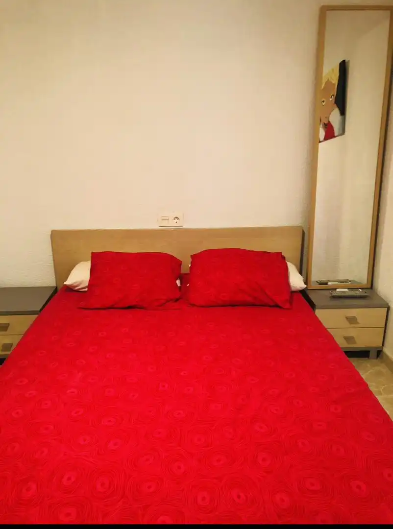 Apartamento de alquiler en Carrer Doctor Severo Ochoa, 1, Playa Muchavista Habitación de Apartamento de alquiler en El Campello con Aire acondicionado, Piscina y Amueblado