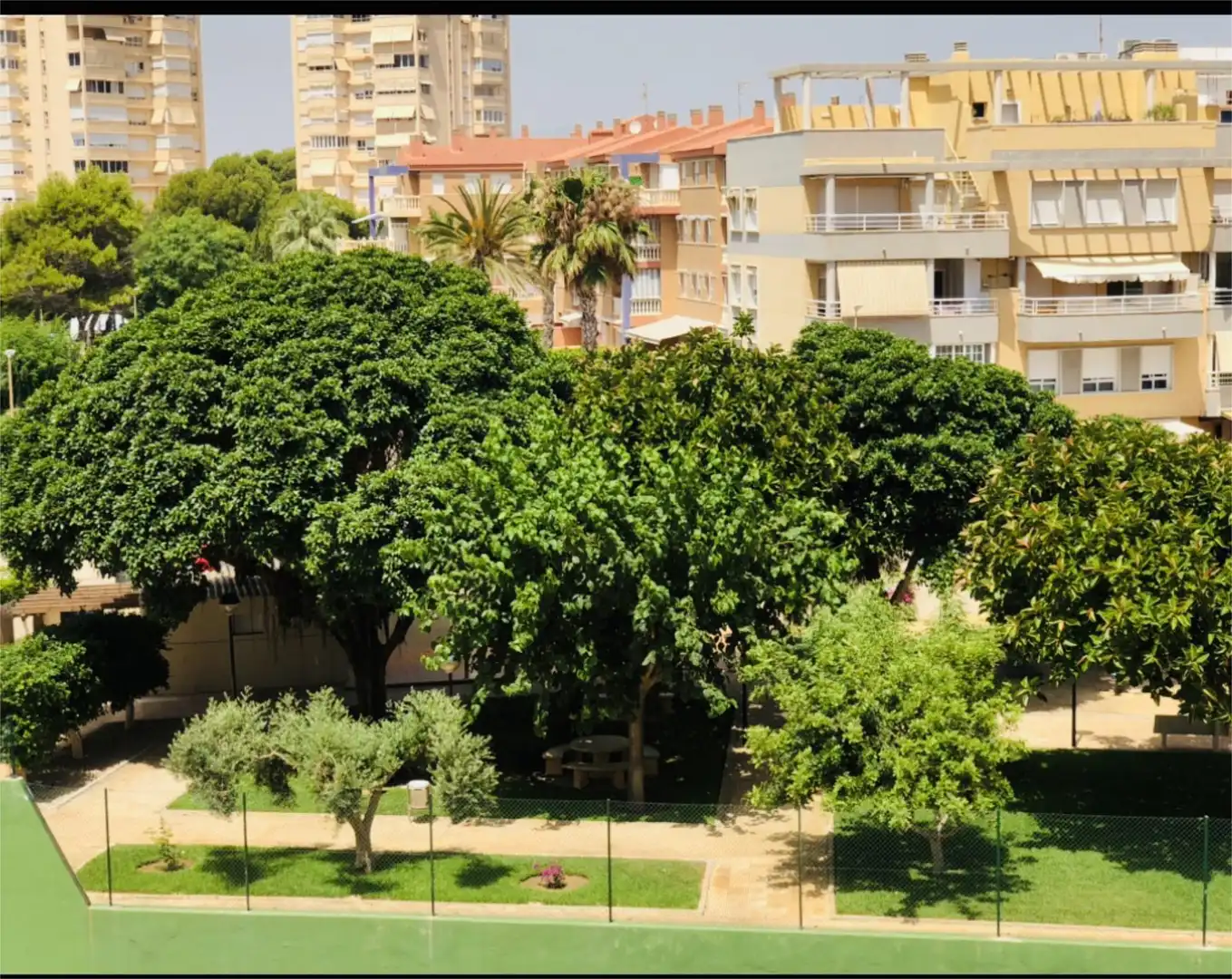 Apartamento de alquiler en Carrer Doctor Severo Ochoa, 1, Playa Muchavista Jardín de Apartamento de alquiler en El Campello con Aire acondicionado, Piscina y Amueblado