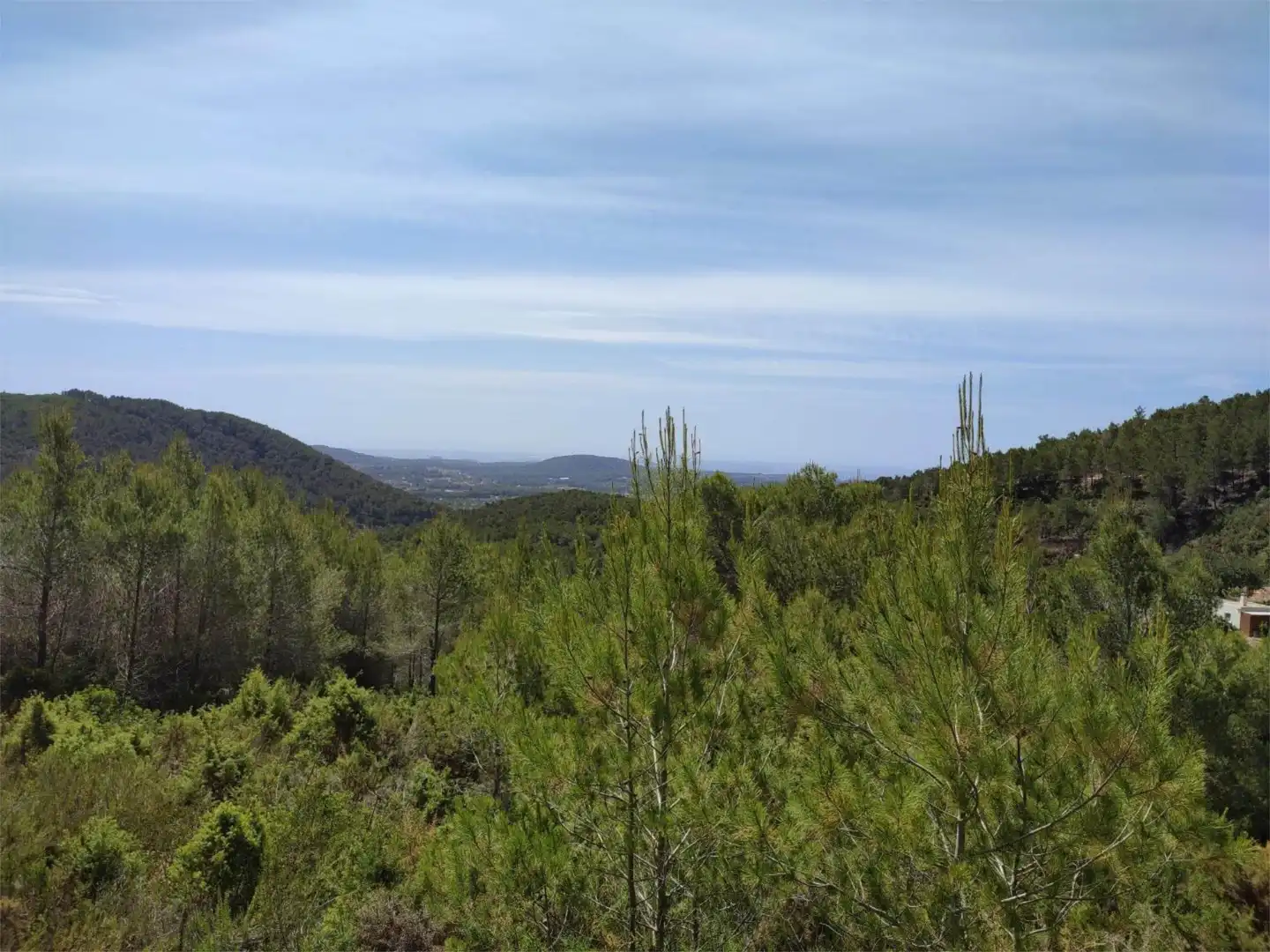 Grundstücke zum Verkauf in Diseminado P 12 Sta Eulalia, 36, Santa Eulària Grundstücke zum Verkauf in Santa Eulària des Riu