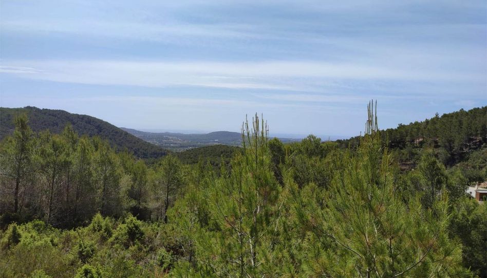 Grundstücke zum Verkauf in Diseminado P 12 Sta Eulalia, 36, Santa Eulària, Santa Eulària des Riu - Bild 1 Foto 1 von Grundstücke zum Verkauf in Diseminado P 12 Sta Eulalia, 36, Santa Eulària, Santa Eulària des Riu