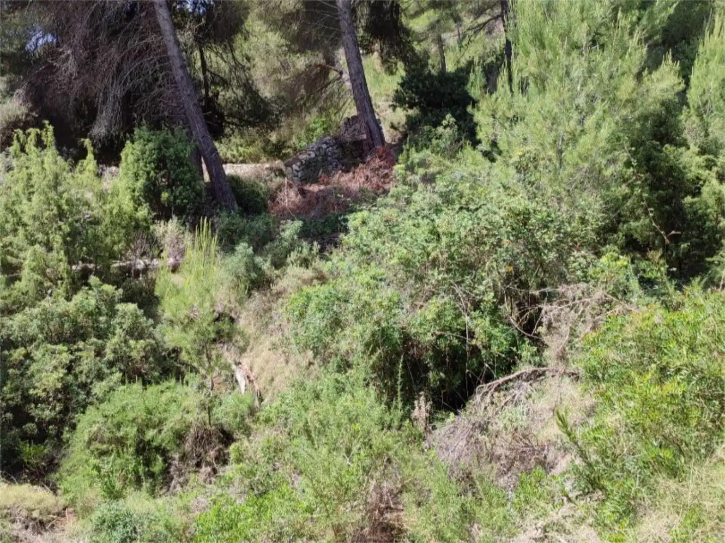 Grundstücke zum Verkauf in Diseminado P 12 Sta Eulalia, 36, Santa Eulària Grundstücke zum Verkauf in Santa Eulària des Riu