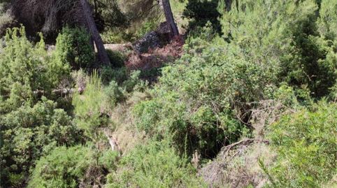 Grundstücke zum Verkauf in Diseminado P 12 Sta Eulalia, 36, Santa Eulària, Santa Eulària des Riu - Bild 2 Foto 2 von Grundstücke zum Verkauf in Diseminado P 12 Sta Eulalia, 36, Santa Eulària, Santa Eulària des Riu
