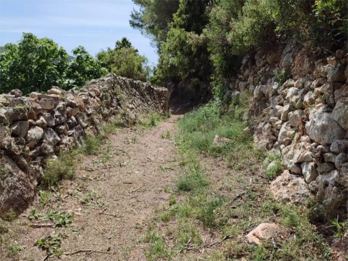 Grundstücke zum Verkauf in Diseminado P 12 Sta Eulalia, 36, Santa Eulària Grundstücke zum Verkauf in Santa Eulària des Riu