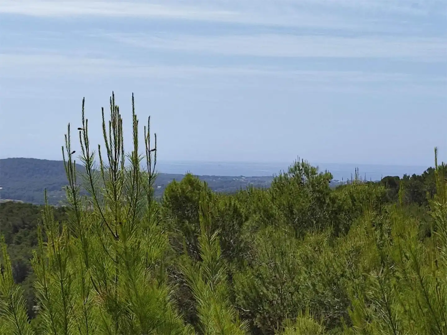 Grundstücke zum Verkauf in Diseminado P 12 Sta Eulalia, 36, Santa Eulària Grundstücke zum Verkauf in Santa Eulària des Riu