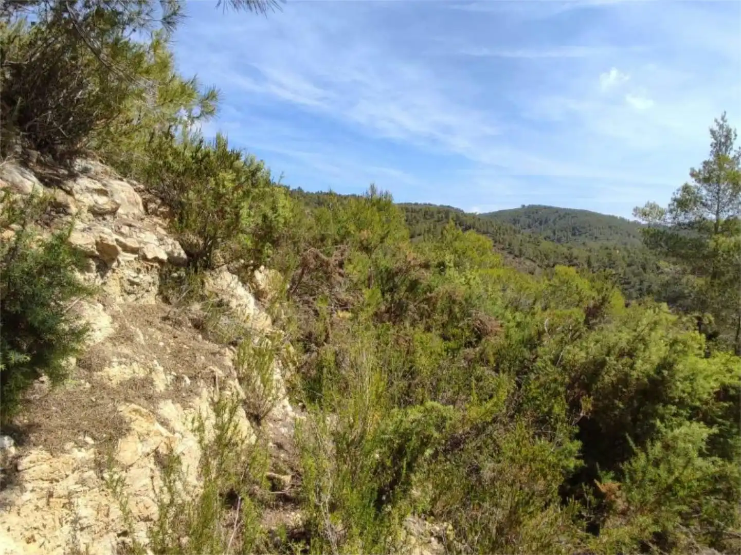 Grundstücke zum Verkauf in Diseminado P 12 Sta Eulalia, 36, Santa Eulària Außenansicht von Grundstücke zum Verkauf in Santa Eulària des Riu
