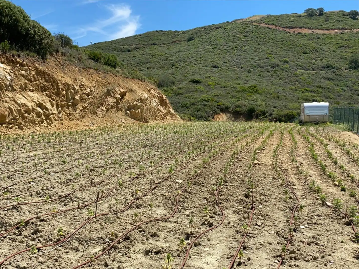 Country house zur Miete in Ma-528, 7, Casares Country house zur Miete in Ma-528, 7, Casares