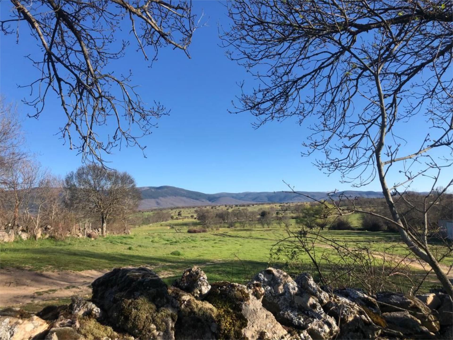 Land for sale in Turégano