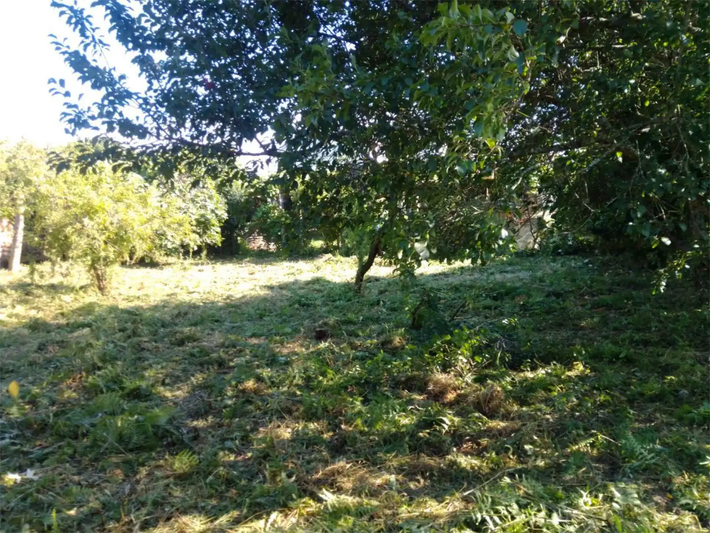 Finca rústica en venda a Paraje Pedrouzos, 14, Área de Ames Finca rústica en venda en Ames
