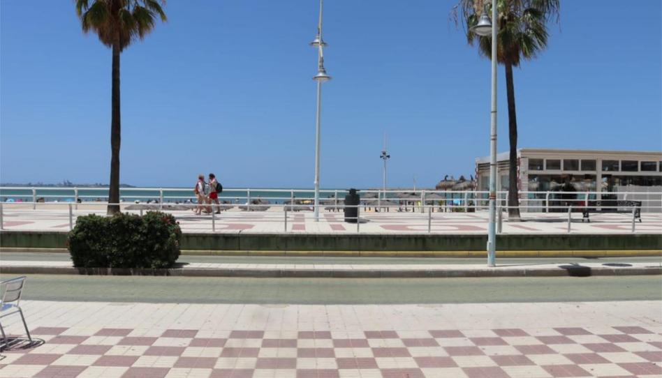 Apartament de lloguer a Paseo Marítimo, 27, Valdelagrana, Cádiz - imatge 1 Foto 1 de Apartament de lloguer a Paseo Marítimo, 27, Valdelagrana, Cádiz