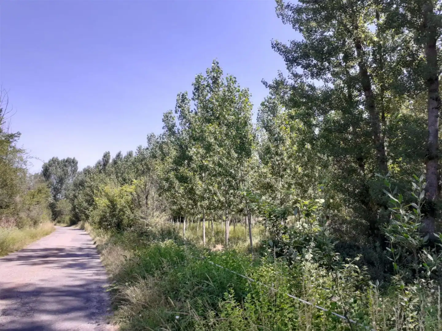 Detached homes for sale in Calle de la Iglesia, 6, Valdevacas y Guijar Detached homes for sale in Valdevacas y Guijar
