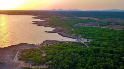 Apartment to rent in Cala Pi - Vallgornera, Illes Balears - image 5 Photo 5 of Apartment to rent in Cala Pi - Vallgornera, Illes Balears