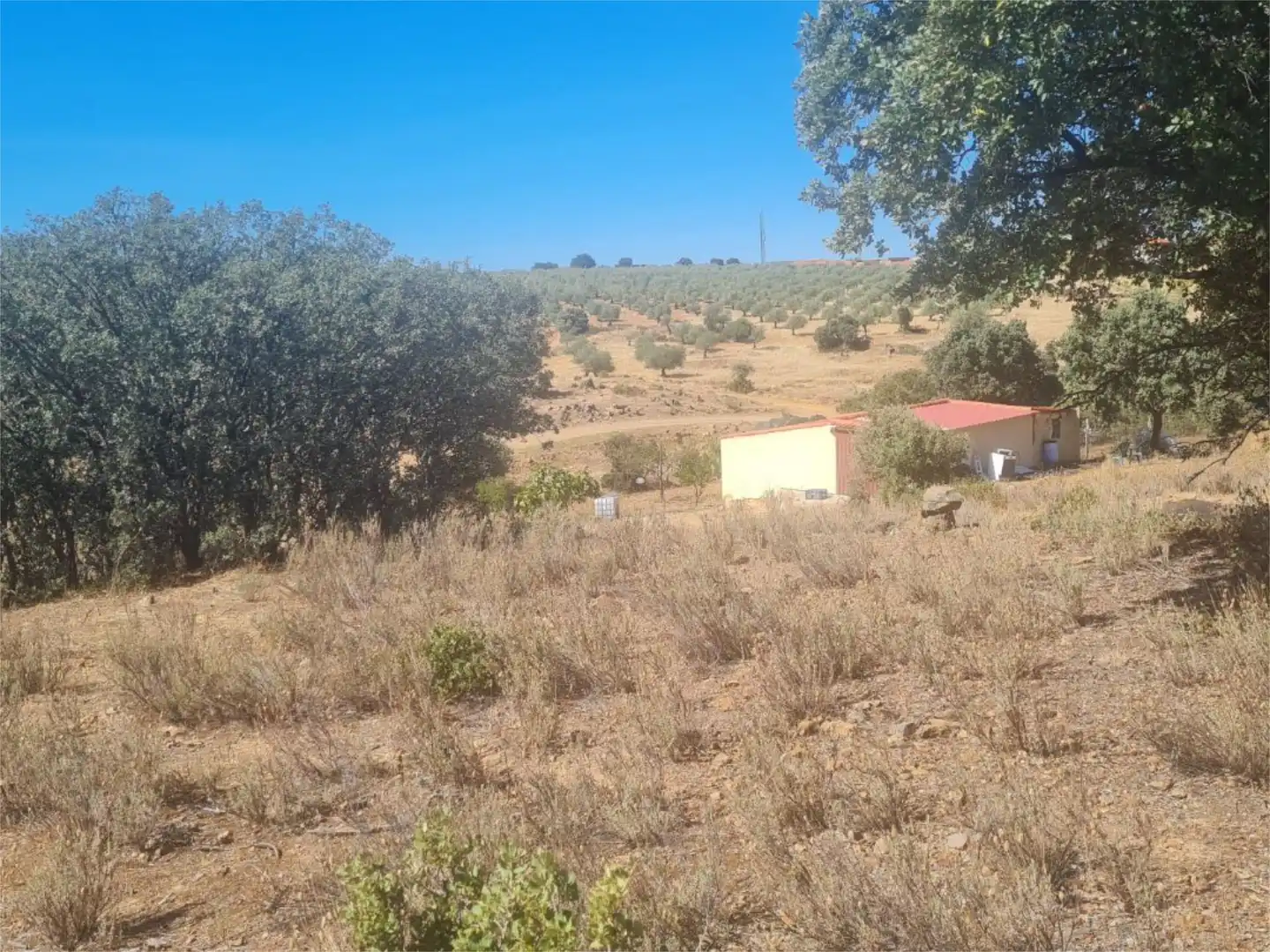 Terreno en venta en Camino de las Gargantas, 10, Espinoso del Rey Terreno en venta en Espinoso del Rey