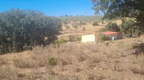 Photo 3 of Land for sale in Camino de las Gargantas, 10, Espinoso del Rey, Toledo