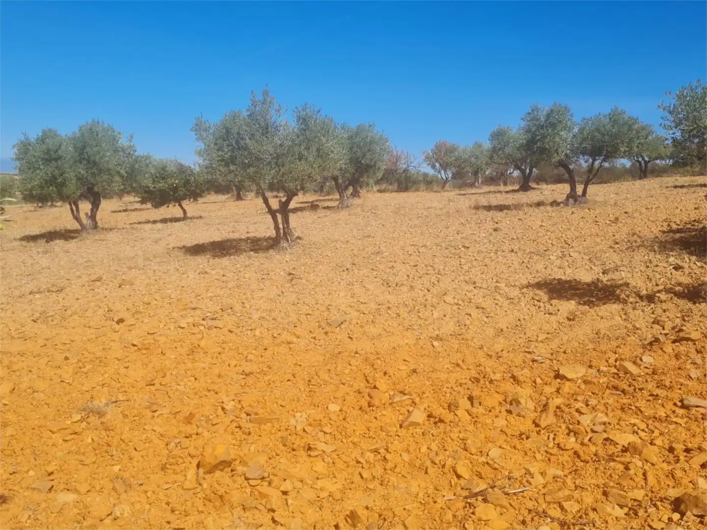 Terreno en venta en Camino de las Gargantas, 10, Espinoso del Rey Terreno en venta en Espinoso del Rey