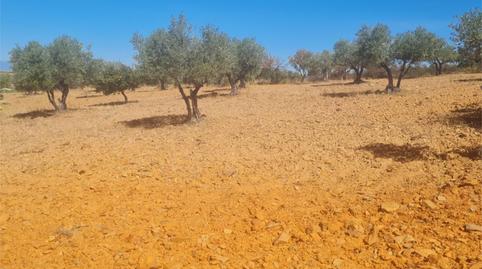 Photo 4 of Land for sale in Camino de las Gargantas, 10, Espinoso del Rey, Toledo