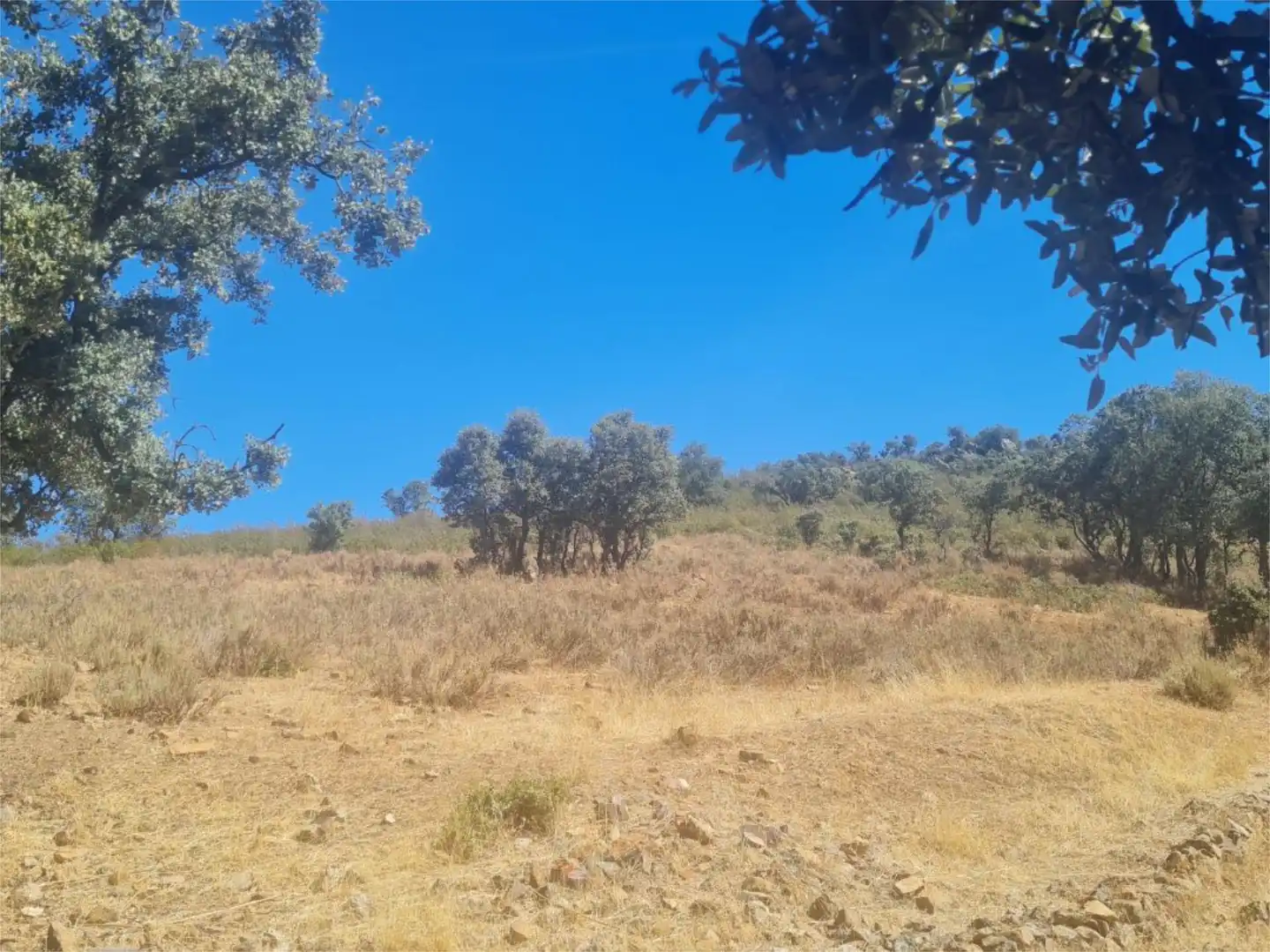 Terreno en venta en Camino de las Gargantas, 10, Espinoso del Rey Terreno en venta en Espinoso del Rey