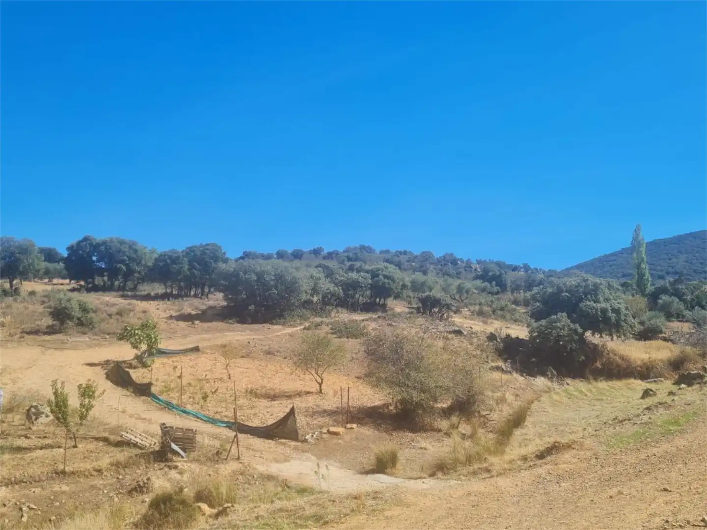 Terreno en venta en Camino de las Gargantas, 10, Espinoso del Rey Terreno en venta en Espinoso del Rey