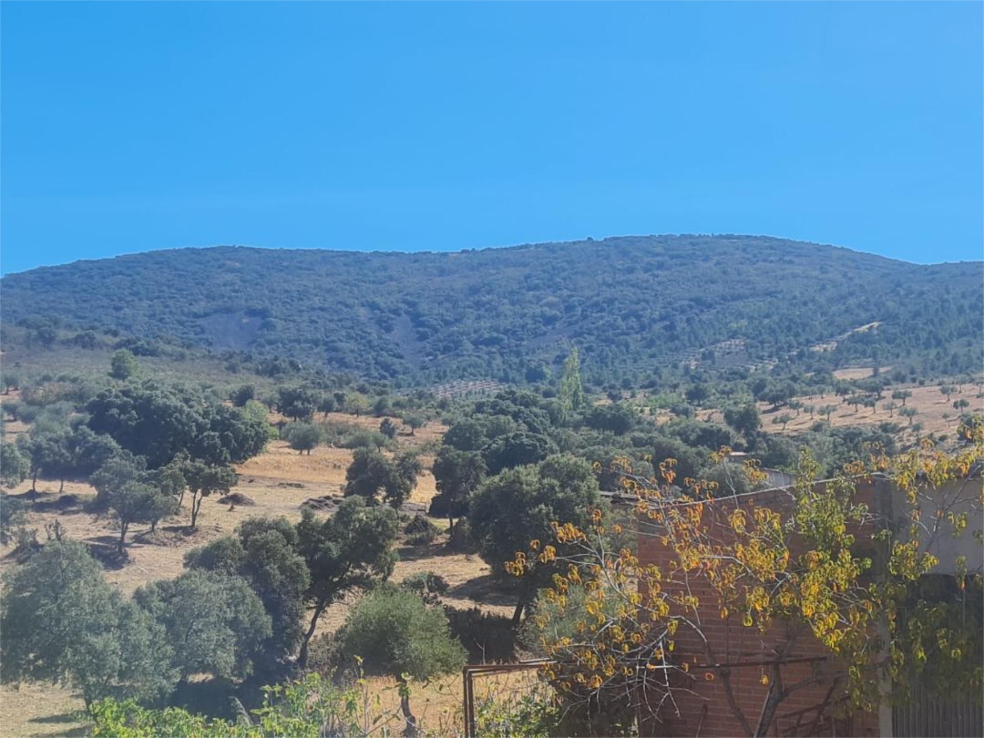 Exterior view of Land for sale in Espinoso del Rey