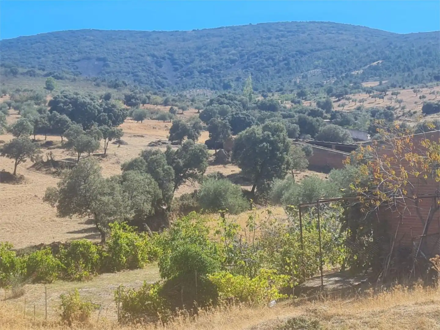 Terreno en venta en Camino de las Gargantas, 10, Espinoso del Rey Terreno en venta en Espinoso del Rey
