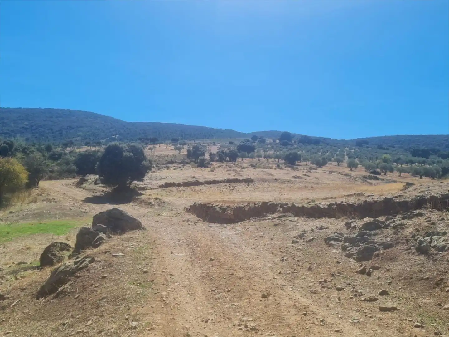 Terreno en venta en Camino de las Gargantas, 10, Espinoso del Rey Terreno en venta en Espinoso del Rey