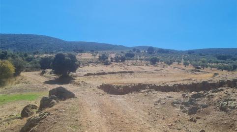 Photo 5 of Land for sale in Camino de las Gargantas, 10, Espinoso del Rey, Toledo