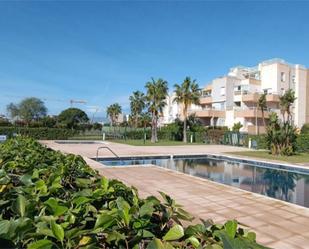 Swimming pool of Planta baja for sale in  Almería Capital  with Air Conditioner, Private garden and Terrace