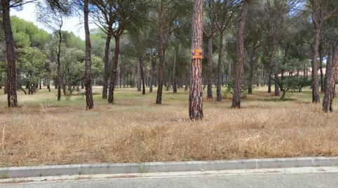 Foto 5 de Urbanizable en venta en Lugar Urbanizacion Montico, 672, Tordesillas, Valladolid