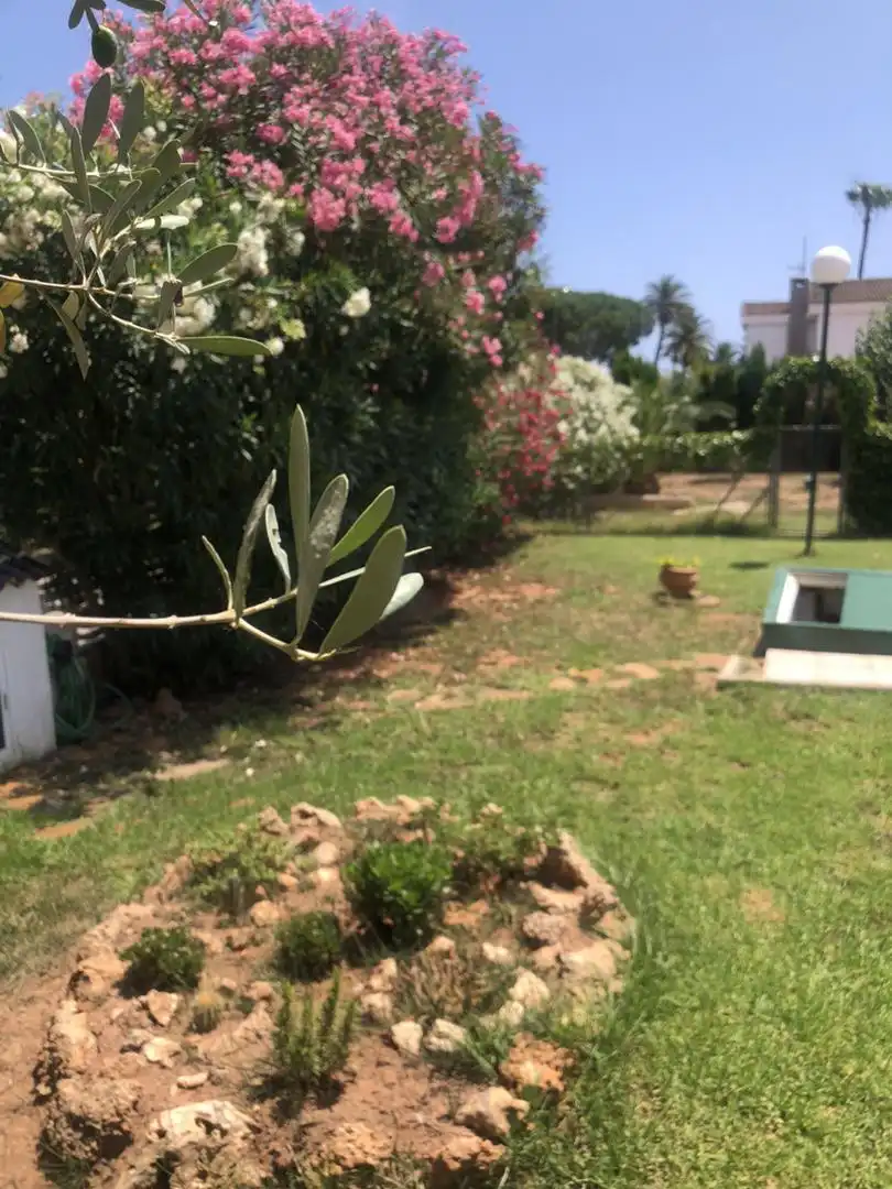 Vista exterior de Casa o xalet de lloguer en Castellón de la Plana / Castelló de la Plana amb Calefacció, Jardí privat i Terrassa
