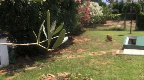 Foto 2 de Casa o xalet en venda a Calle Mestral, 55, El Grao, Castellón