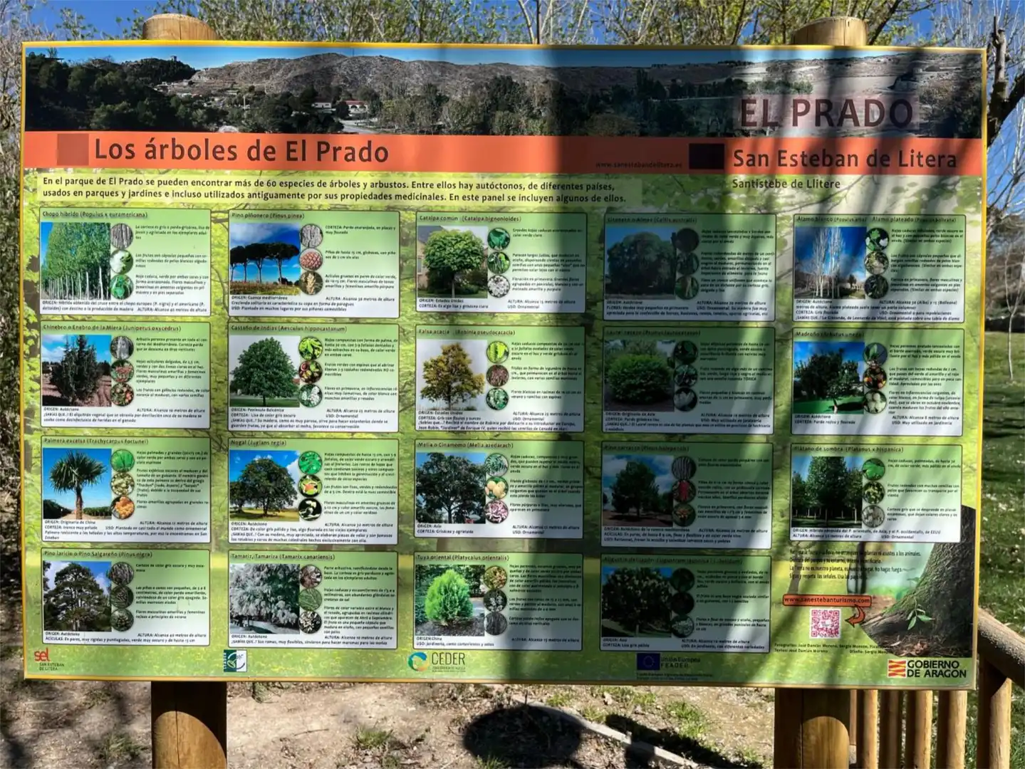 Casa o xalet en venda a Camino Polideportivo, San Esteban de Litera