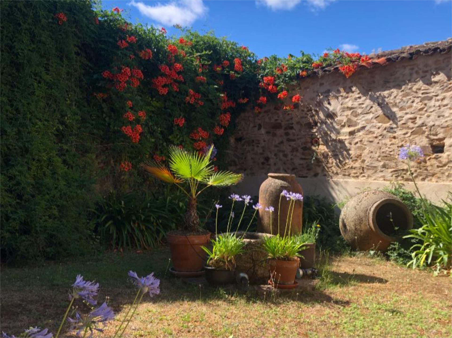 Garden of House or chalet for sale in Guadalupe  with Heating, Private garden and Terrace