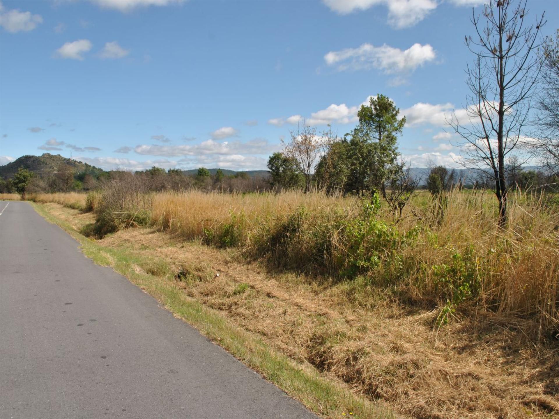 Land for sale in Oímbra