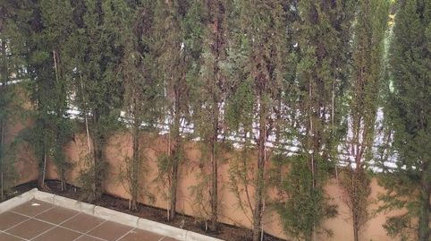 Piso en venta en Calle Libertador Juan Rafael Mora, 3, Sector Sur, Córdoba Capital - imagen 5 Foto 5 de Piso en venta en Calle Libertador Juan Rafael Mora, 3, Sector Sur, Córdoba Capital