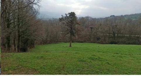 Foto 3 de No Urbanitzable en venda a Barrio Soto, 1, Villacarriedo, Cantabria