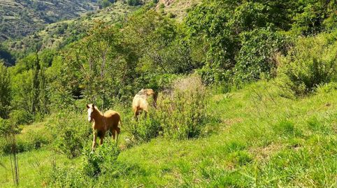 Land for sale in Calle Jose Antonio, 13, Pampaneira, Granada - image 2 Photo 2 of Land for sale in Calle Jose Antonio, 13, Pampaneira, Granada