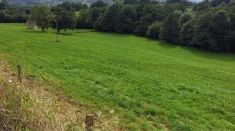 No Urbanitzable en venda a Barrio Vega, 51b, Villafufre, Cantabria - imatge 2 Foto 2 de No Urbanitzable en venda a Barrio Vega, 51b, Villafufre, Cantabria