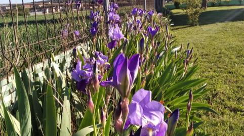 Photo 4 of Country house for sale in Agoncillo, La Rioja