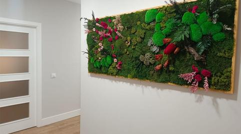 Office to rent in Calle Gabriel Miró, 3, Arco Norte - Avda. España, Sevilla - image 2 Photo 2 of Office to rent in Calle Gabriel Miró, 3, Arco Norte - Avda. España, Sevilla