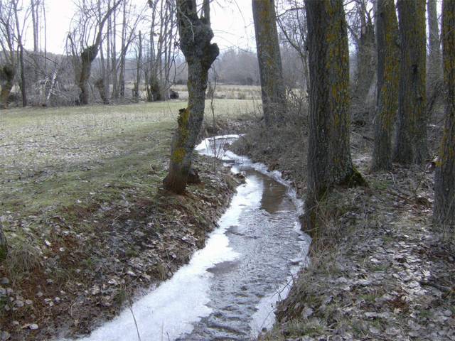 Terreno en Venta en Carretera Ribota, 1 en Ribota