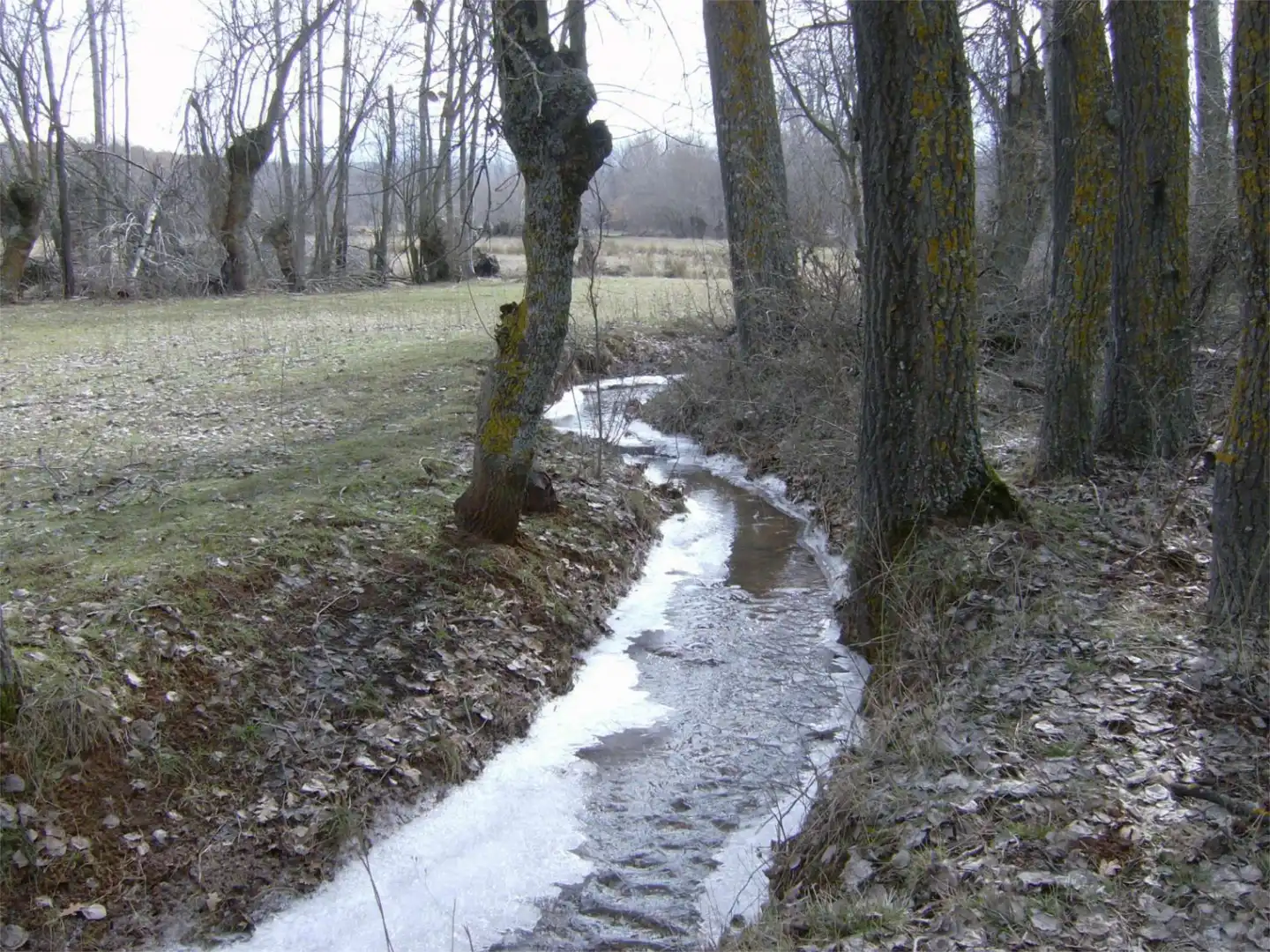 Exterior view of Land for sale in Ribota