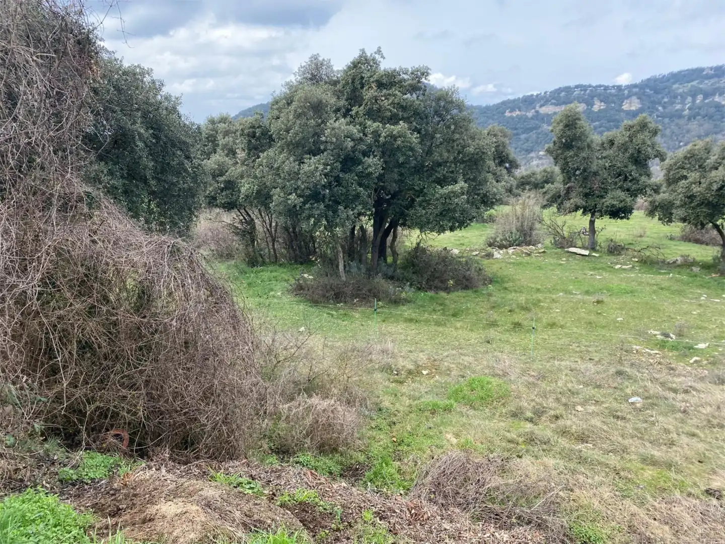 Land for sale in Tavertet