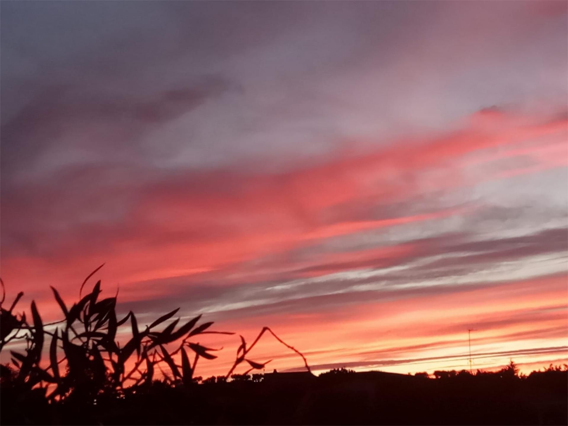 Vista exterior de Casa o xalet en venda en Albarreal de Tajo amb Piscina