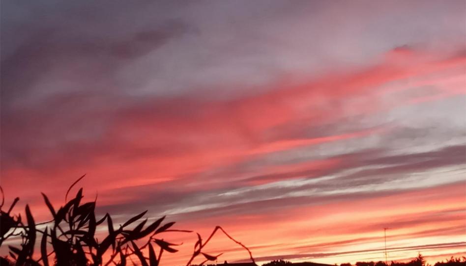 House or chalet for sale in Calle Cervantes, 27, Albarreal de Tajo, Toledo - image 1 Photo 1 of House or chalet for sale in Calle Cervantes, 27, Albarreal de Tajo, Toledo