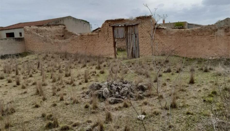 Finca rústica en venta en Camino Ermita San Isidro, 7, Pesquera de Duero, Valladolid - imagen 1 Foto 1 de Finca rústica en venta en Camino Ermita San Isidro, 7, Pesquera de Duero, Valladolid