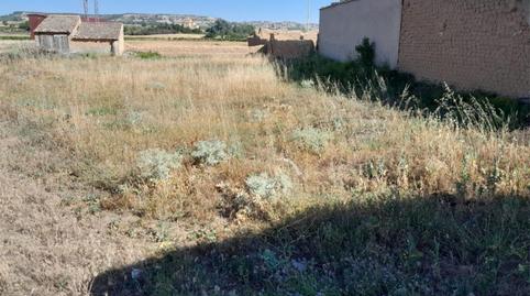 Finca rústica en venta en Camino Ermita San Isidro, 7, Pesquera de Duero, Valladolid - imagen 3 Foto 3 de Finca rústica en venta en Camino Ermita San Isidro, 7, Pesquera de Duero, Valladolid