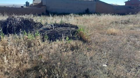 Finca rústica en venta en Camino Ermita San Isidro, 7, Pesquera de Duero, Valladolid - imagen 4 Foto 4 de Finca rústica en venta en Camino Ermita San Isidro, 7, Pesquera de Duero, Valladolid